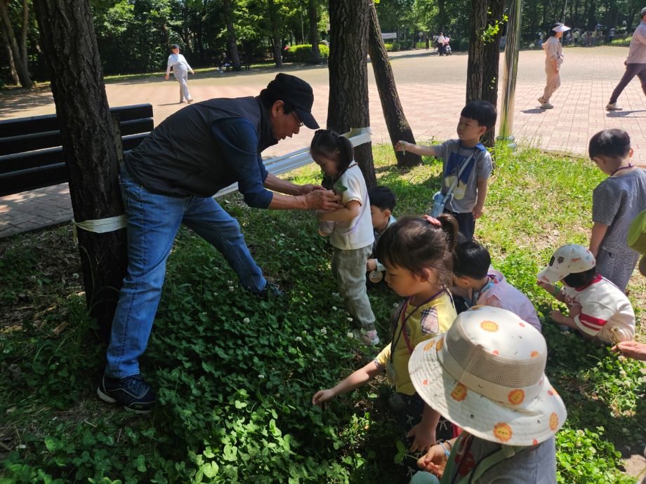 5세 시니어 숲 체험...