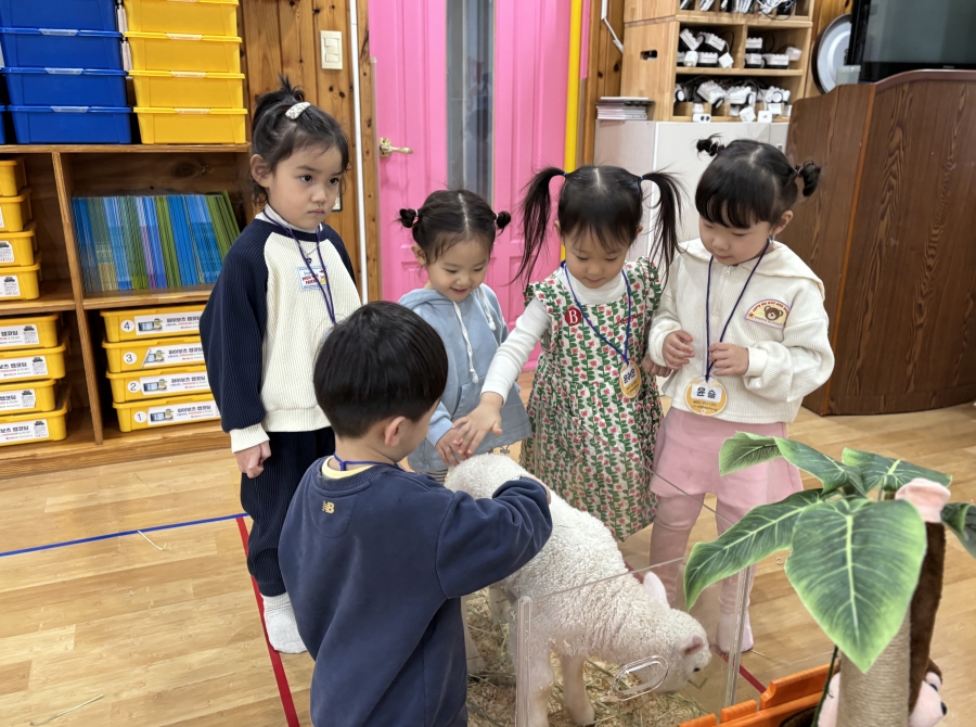 animal day 동...