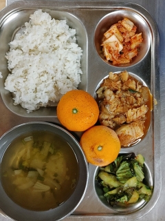 보리밥
실파장국
코다리조림
오이상추무침
김치
과일