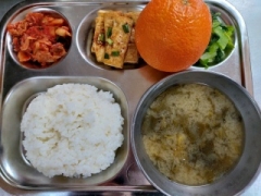 백미밥
냉이된장국
두부부침
양념장
청경채나물
김치
오렌지