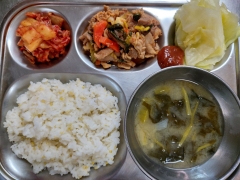 기장쌀밥
유채된장국
돈육콩나물볶음
양배추
쌈장
김치