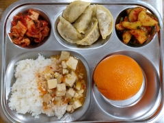 마파두부덮밥
만두 초간장
오이무침
김치
오렌지