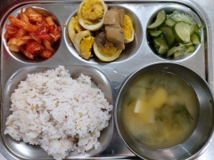 10곡잡곡밥
근대된장국
계란장조림
오이나물
김치