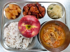 잡곡밥
돈육김치찌개
비엔나소시지볶음
무나물
깍두기
사과