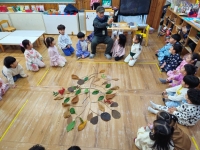 5세 시니어 숲 체험