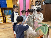 animal day 동물체험